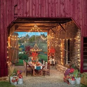 Meet your Posher, Joyce